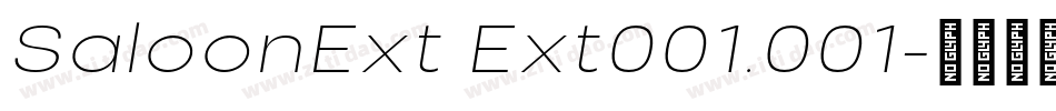 SaloonExt Ext001.001字体转换